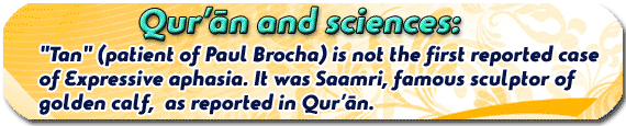 Science banner