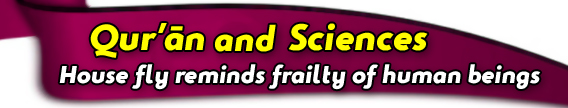 Educational banner